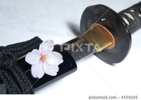 Sword and cherry blossoms 4559205