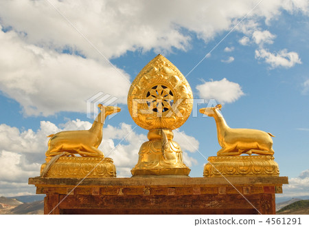 architectural details of songzanlin tibetan monastery, shangri-l 4561291