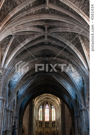 Dome of gothic cathedral 4561434