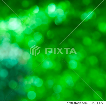 abstract green bokeh, perfect summer background 4561477