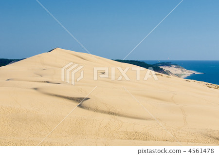 Pyla dune, the largest sand dune in Europe 4561478