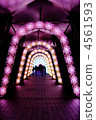 illuminated, illumination, illuminations 4561593