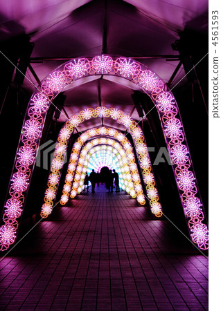 illuminated, illumination, illuminations 4561593