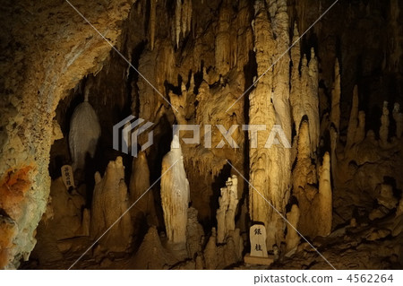 Tamadon-dong 4562264