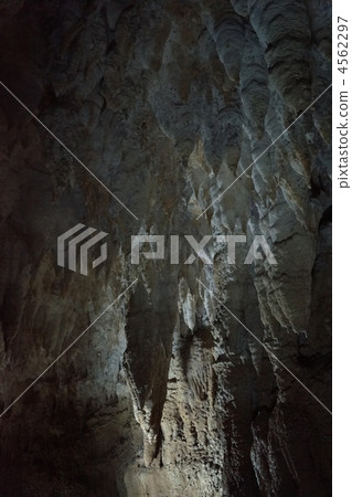 Tamadon-dong Tamadon-dong 4562297