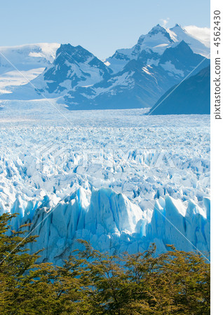 Perito Moreno Glacier, Patagonia, Argentina 4562430