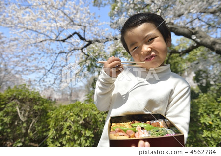 Bento  4562784