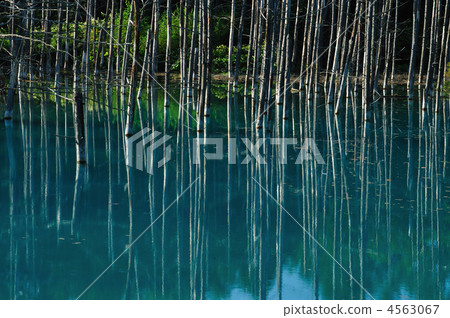 blue pond, aoiike, pond 4563067