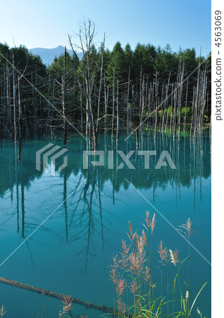 blue pond, aoiike, pond 4563069