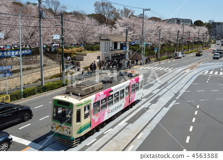 Prince Walking · Tengenen Arakawa Line 7000 type train 4563388