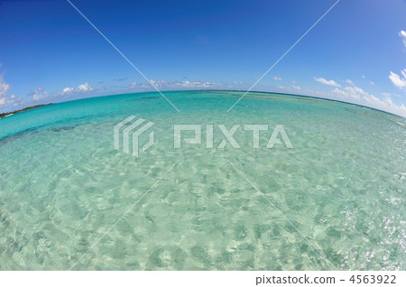 Ogaku Coast · Yurigahama (Yoron Island) Ogaku Coast · Yurigahama (Yoron Island) 4563922