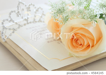 頭飾花婚禮 4564145