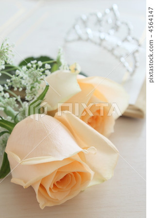 婚禮花玫瑰 4564147