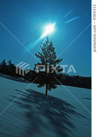 在山里 雪山 風景 4564313