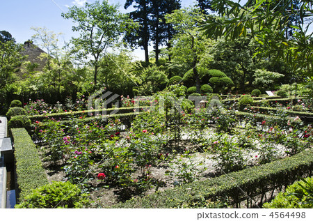 玫瑰寺/日訪問 4564498