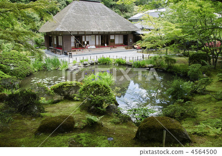 Yen訪問了Yen 4564500