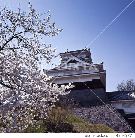 櫻花和上山城堡 櫻花和上山城堡 4564577