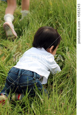 Baby in behind-the-scenes boy in the meadow Baby in behind-the-scenes boy in the meadow 4565243