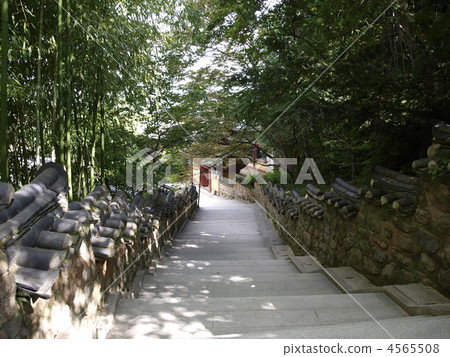 韓國釜山市的Bokura寺（Pomosa） 4565508