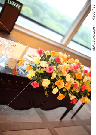 花朵 花 花卉 4565755