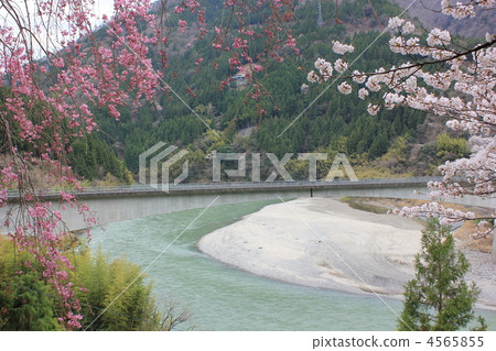 Spring of Ina Ozawa 4565855