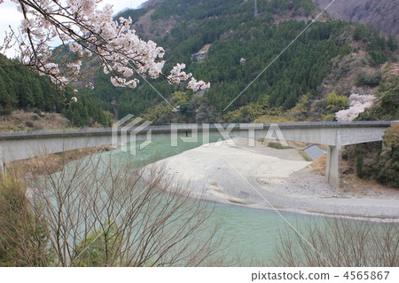 Ina Ozawa的春天 4565867