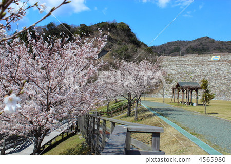 Spring's Toyoha Lake Park Spring's Toyoha Lake Park 4565980