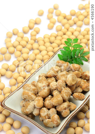 納豆和大豆 納豆和大豆 4566190