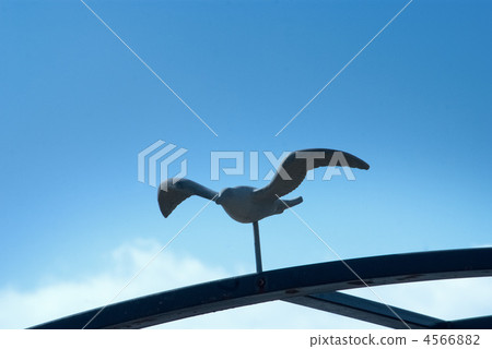 海鷗對象 海鷗對象 4566882