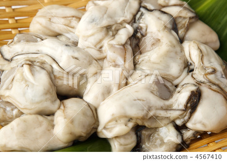 Fresh oysters 4567410