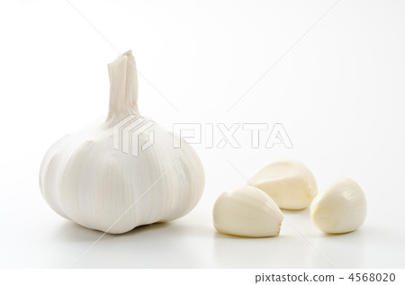 大蒜根莖 大蒜根莖 4568020