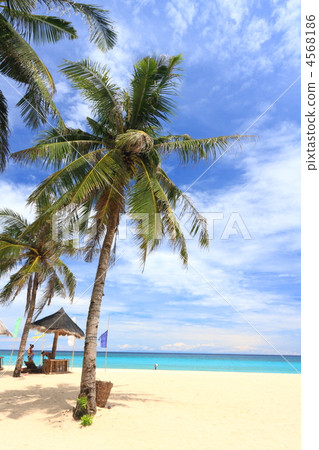 長灘島“Puca Shell Beach” 長灘島“Puca Shell Beach” 4568186