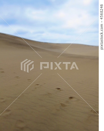 tottori sand dunes, hill, dune 4568246