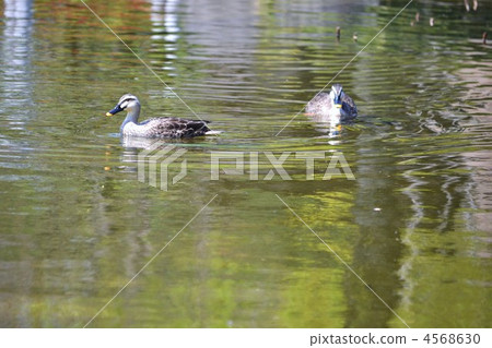 Maybe good friends Maybe good friends 4568630