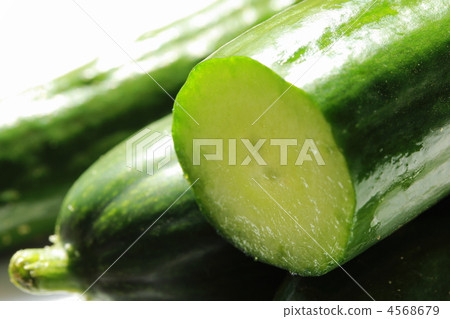 黃瓜部分 4568679