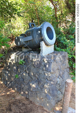 Cannon Cannon 4568902