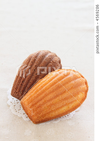 Baked confectionery Madeleine 4569286