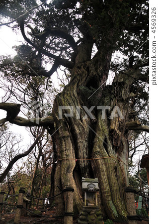 神木 寺 寺院 4569326