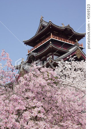 tine, garden tree, weeping cherry 4569523