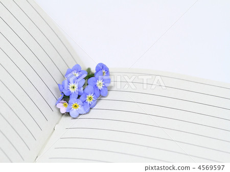 忘了草（Wasenagusa） 4569597