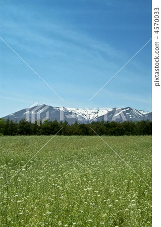 Grasslands and the Zao factions Grasslands and the Zao factions 4570033