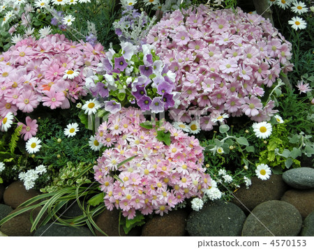flower bed  4570153