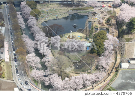 Pond of happiness 4570706
