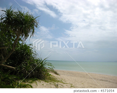 竹富島康多海灘 竹富島康多海灘 4571054