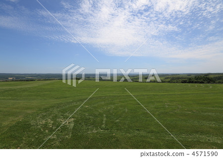 900 Sogen, eastern hokkaido, lawn 4571590