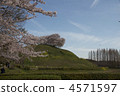 天空櫻花 4571597