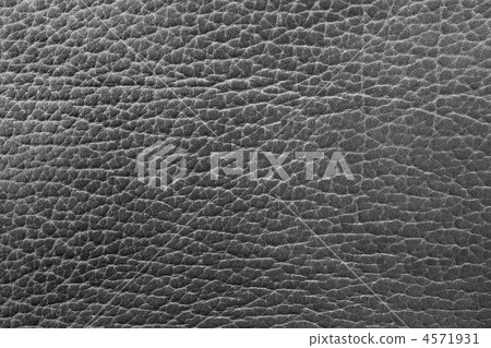 Leather Texture 4571931