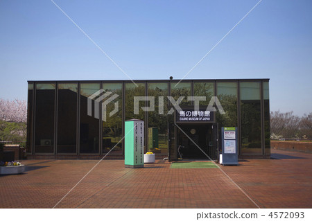 馬博物館 4572093