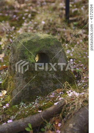 Negishi賽馬紀念花園馬加入 4572094