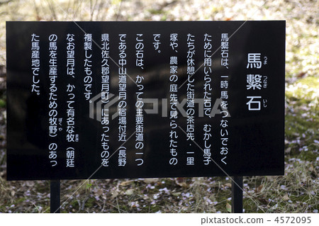 Negishi horse racing memorial garden horse joinite 4572095